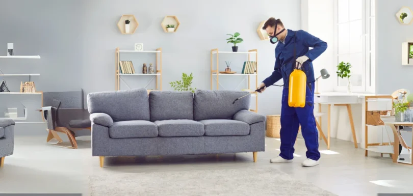 pest-control-pesteraser