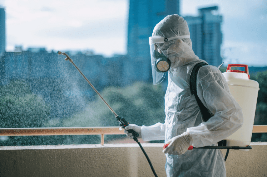 pest eraser home pest control