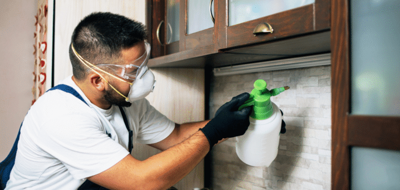 pest eraser home pest control