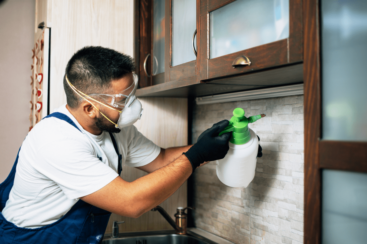 pest eraser home pest control