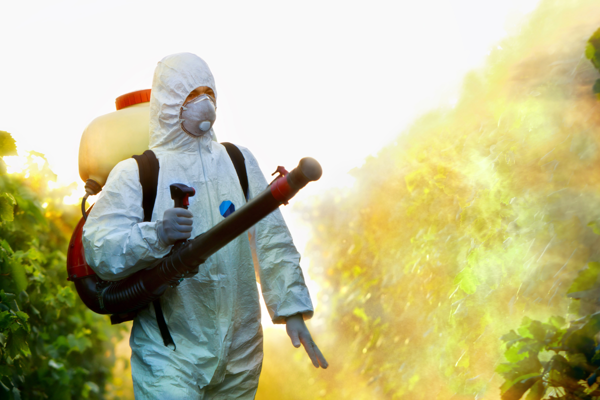 pest eraser home pest control