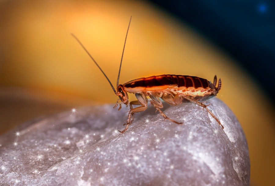 pest eraser home pest control