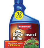 Lawn Insect Killer